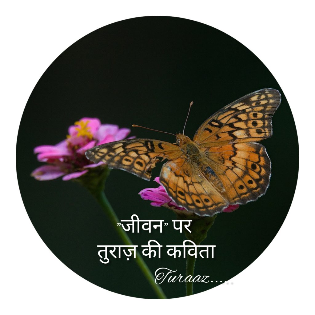 जीवन का फलसफा “Poetry on Life” (Hindi Poetry)